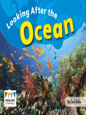 cover image of Looking After the Ocean